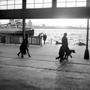 Pierhead Landing Stage